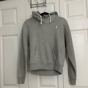 Champion double hoodie
